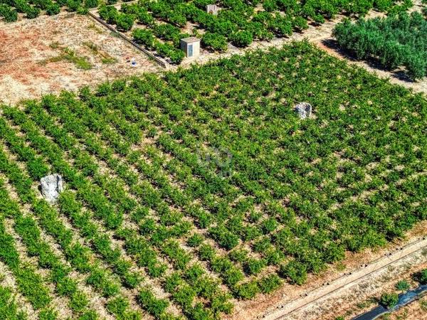 Terreno en Banyeres de Mariola