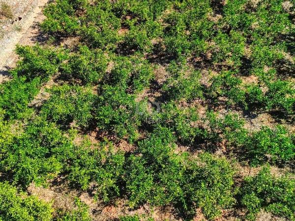 Terreno en Banyeres de Mariola