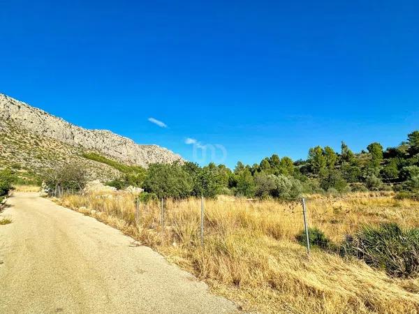 Terreno en Beniarbeig