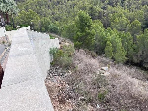 Terreno en calle Palmera