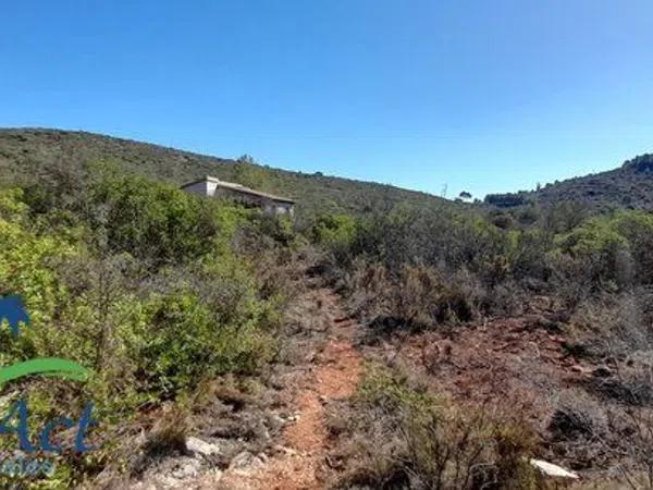 Terreno en Alcalalí