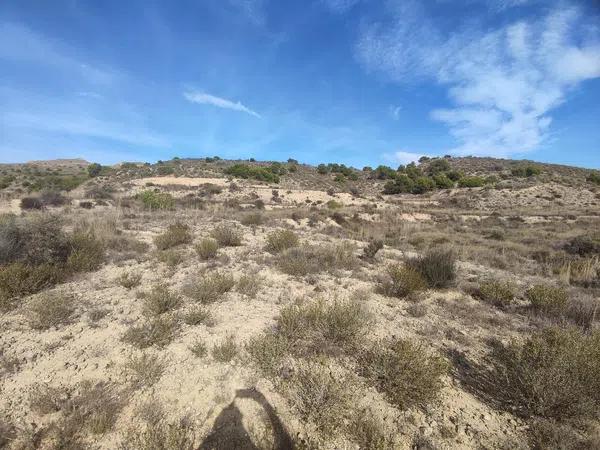 Terreno en Partida Peña Sendra