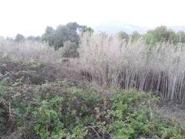 Terreno en calle Río Jiloca