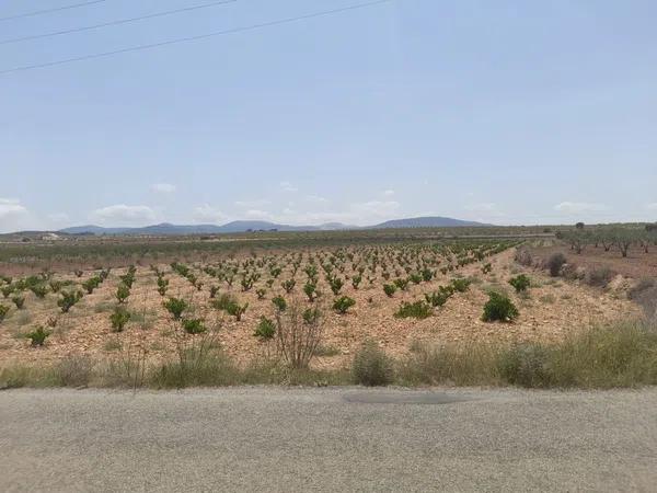 Terreno en Pinoso