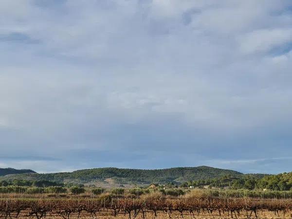 Terreno en Monovar