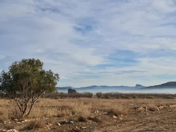 Terreno en Monovar