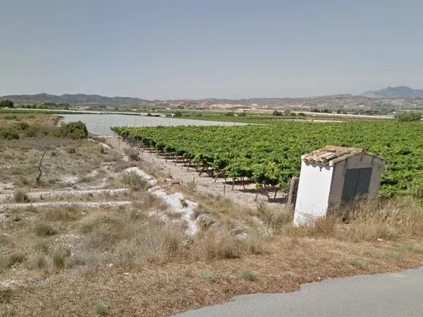 Terreno en camino hondo