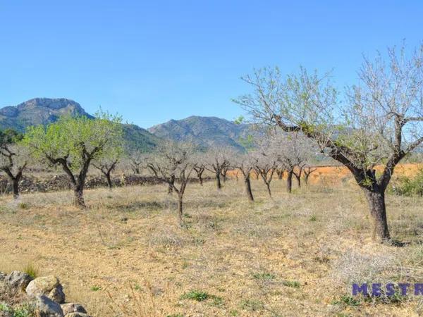 Terreno en Jalón