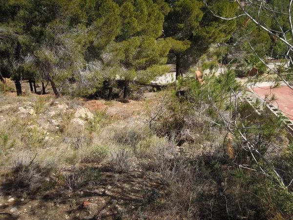 Terreno en calle San Cugat