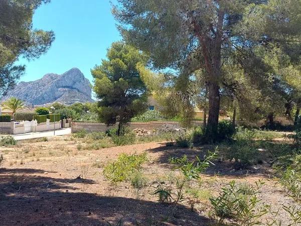 Terreno en Cometa-Carrió