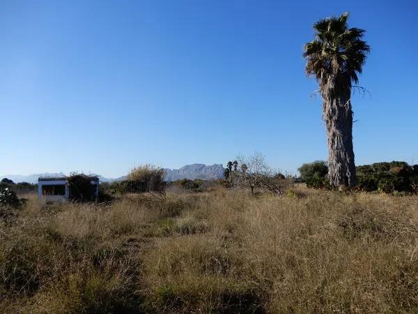 Terreno en La Xara - La Sella - Jesús Pobre