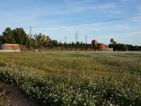 Terreno en Alzabares