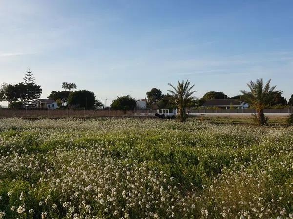 Terreno en Alzabares