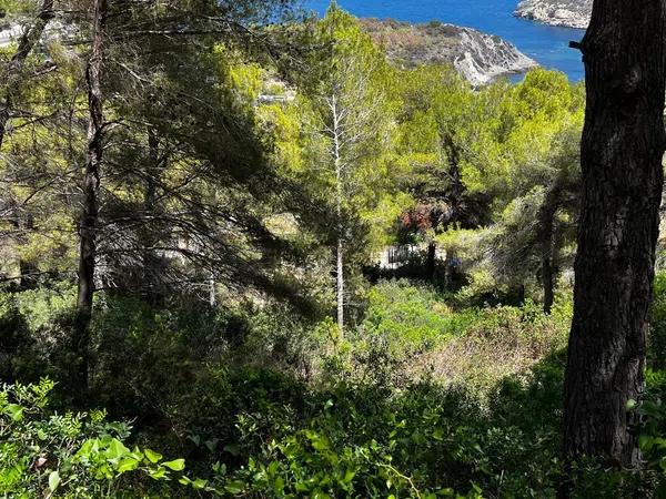 Terreno en calle de la Barraca s/n