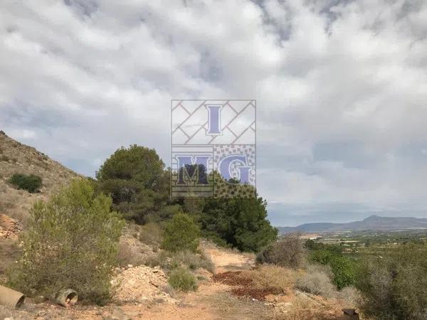 Terreno en Montepinar-La Aparecida-Raiguero