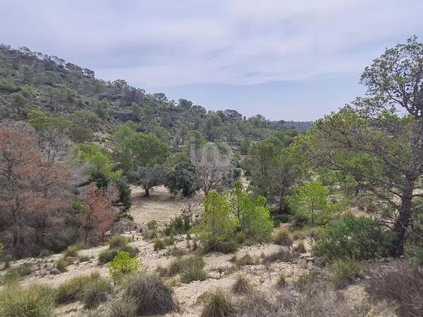 Terreno en avenida Pianista Gonzalo Soriano, 26