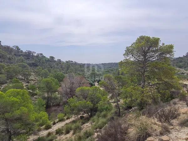 Terreno en avenida Pianista Gonzalo Soriano, 26