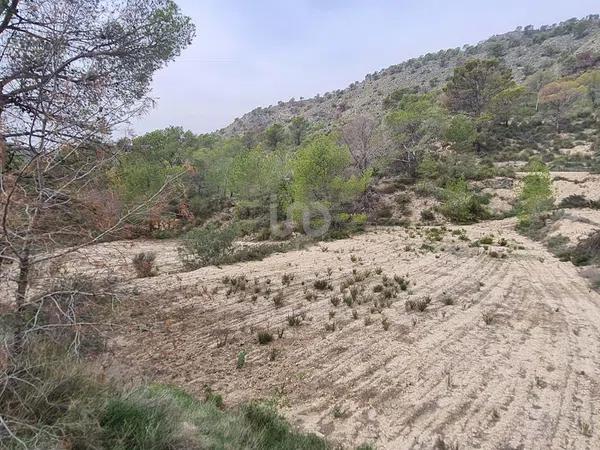 Terreno en avenida Pianista Gonzalo Soriano, 26