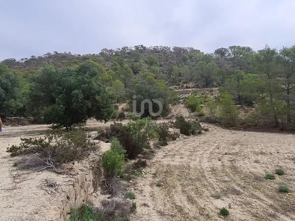 Terreno en avenida Pianista Gonzalo Soriano, 26