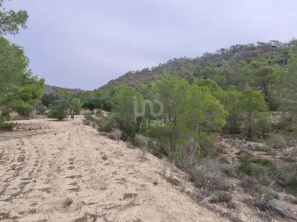 Terreno en avenida Pianista Gonzalo Soriano, 26