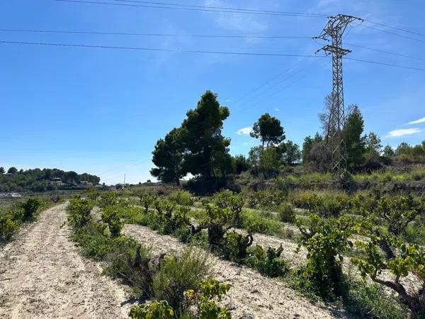 Terreno en avenida d' Alacant