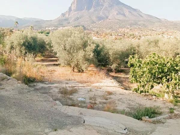 Terreno en El Secanet - Hacienda del Sol