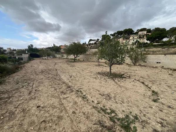 Terreno en calle Palmera