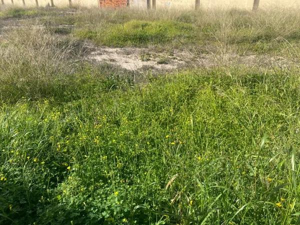 Terreno en Barrio Portes Encarnades-Torreta-Portalada