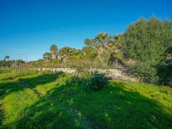 Terreno en Partida Tosal - Zona dels Castellans