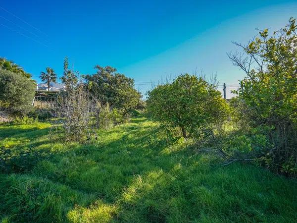 Terreno en Partida Tosal - Zona dels Castellans