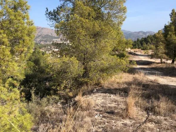 Terreno en La Nucia Pueblo