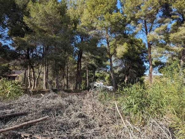 Terreno en Pinar de Advocat-Cometa