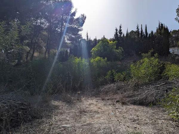 Terreno en Pinar de Advocat-Cometa