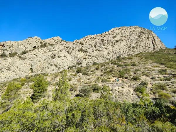 Terreno en camino de la Partida Pla de Cabeçó