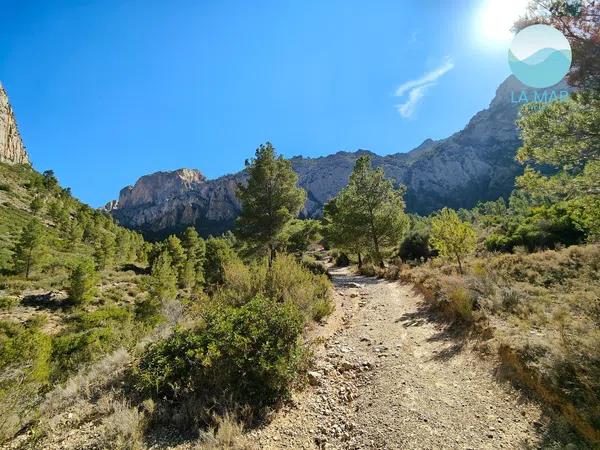 Terreno en camino de la Partida Pla de Cabeçó