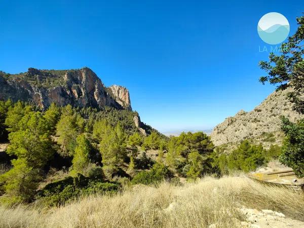 Terreno en camino de la Partida Pla de Cabeçó