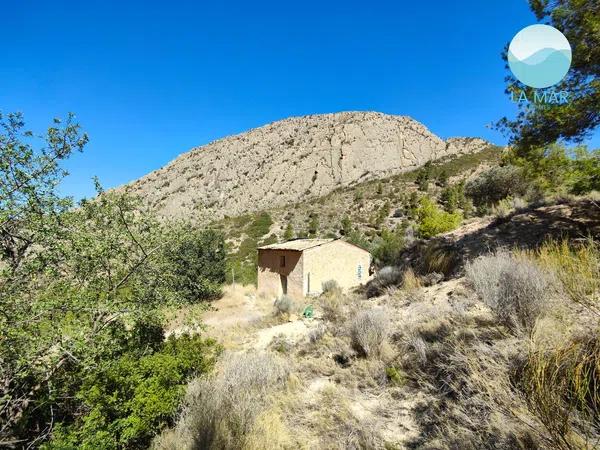 Terreno en camino de la Partida Pla de Cabeçó