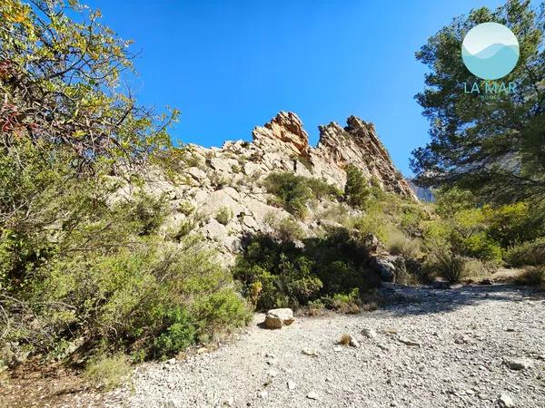 Terreno en camino de la Partida Pla de Cabeçó