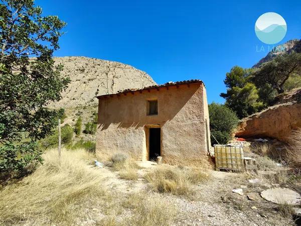 Terreno en camino de la Partida Pla de Cabeçó