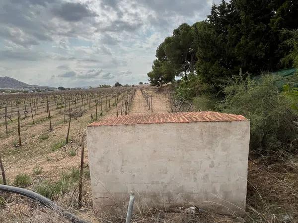 Terreno en camino Alvaro