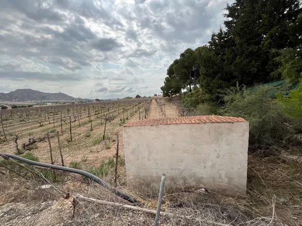 Terreno en camino Alvaro