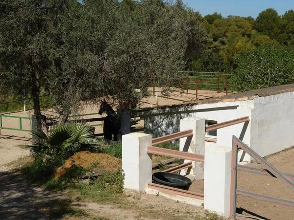 Terreno en avenida de l'Alcoià, 18