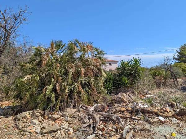 Terreno en El Montgó