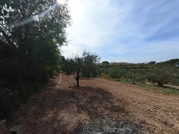 Terreno en Ibi