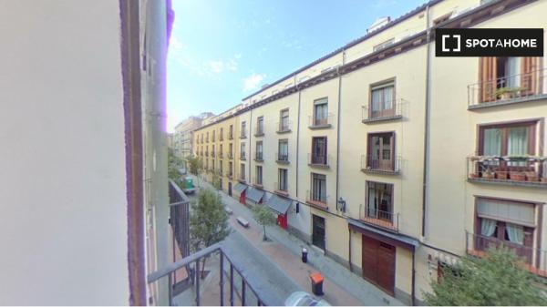 Appartamento con 1 camera da letto in affitto a Madrid