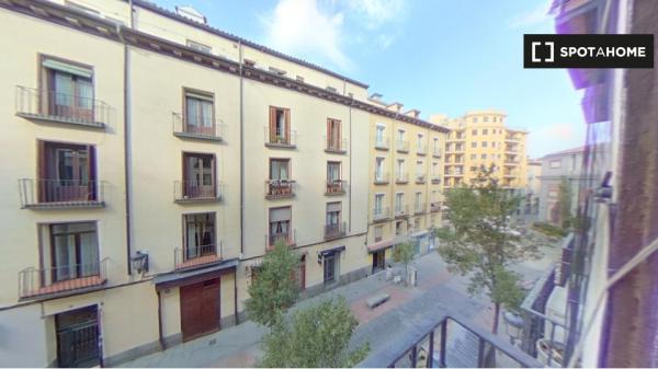 Appartamento con 1 camera da letto in affitto a Madrid