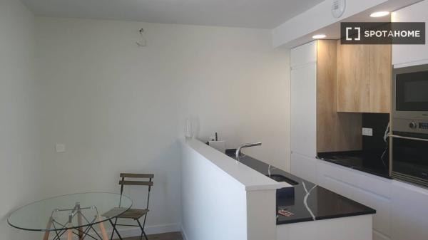 Apartamento de 1 dormitorio en alquiler en Madrid