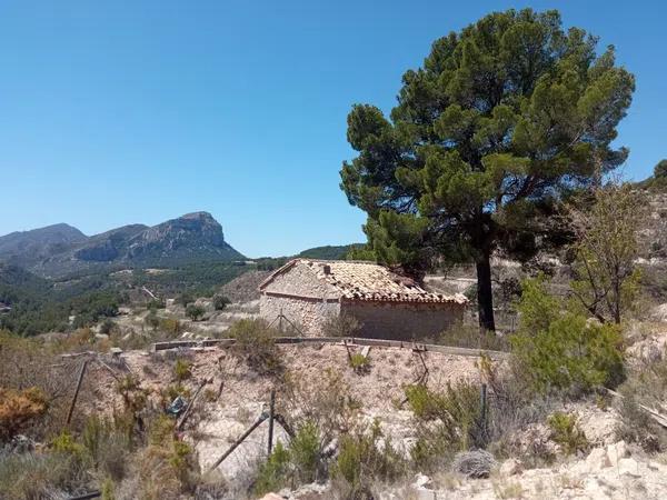 Terreno en Partida Bortolons, 25