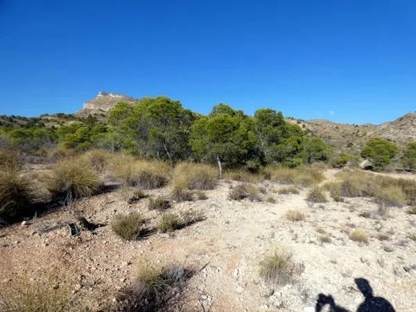 Terreno en via Pista