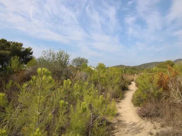 Terreno en Partida Comunes-Adsubia